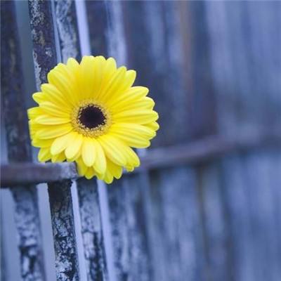 ag旗舰厅客户端下载