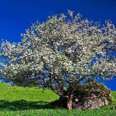 彩神lllv入口app下载