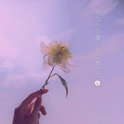 BET9登录APP手机app下载